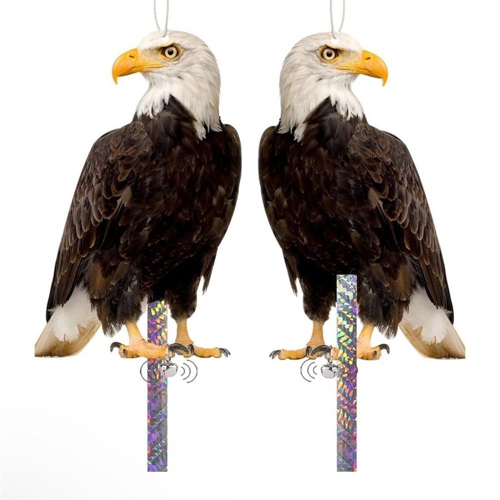 Hanging Eagles & Owls